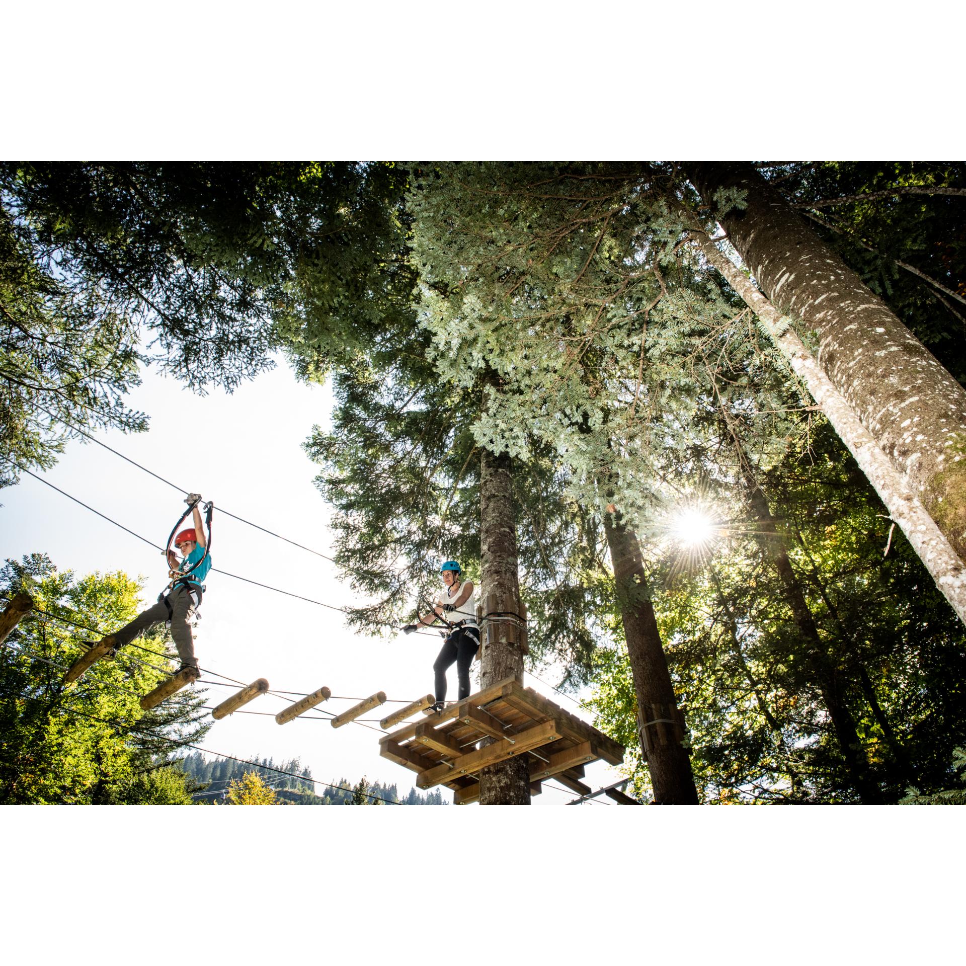 seilparks.ch Bon d'achat parcs aventure CHF 50.-