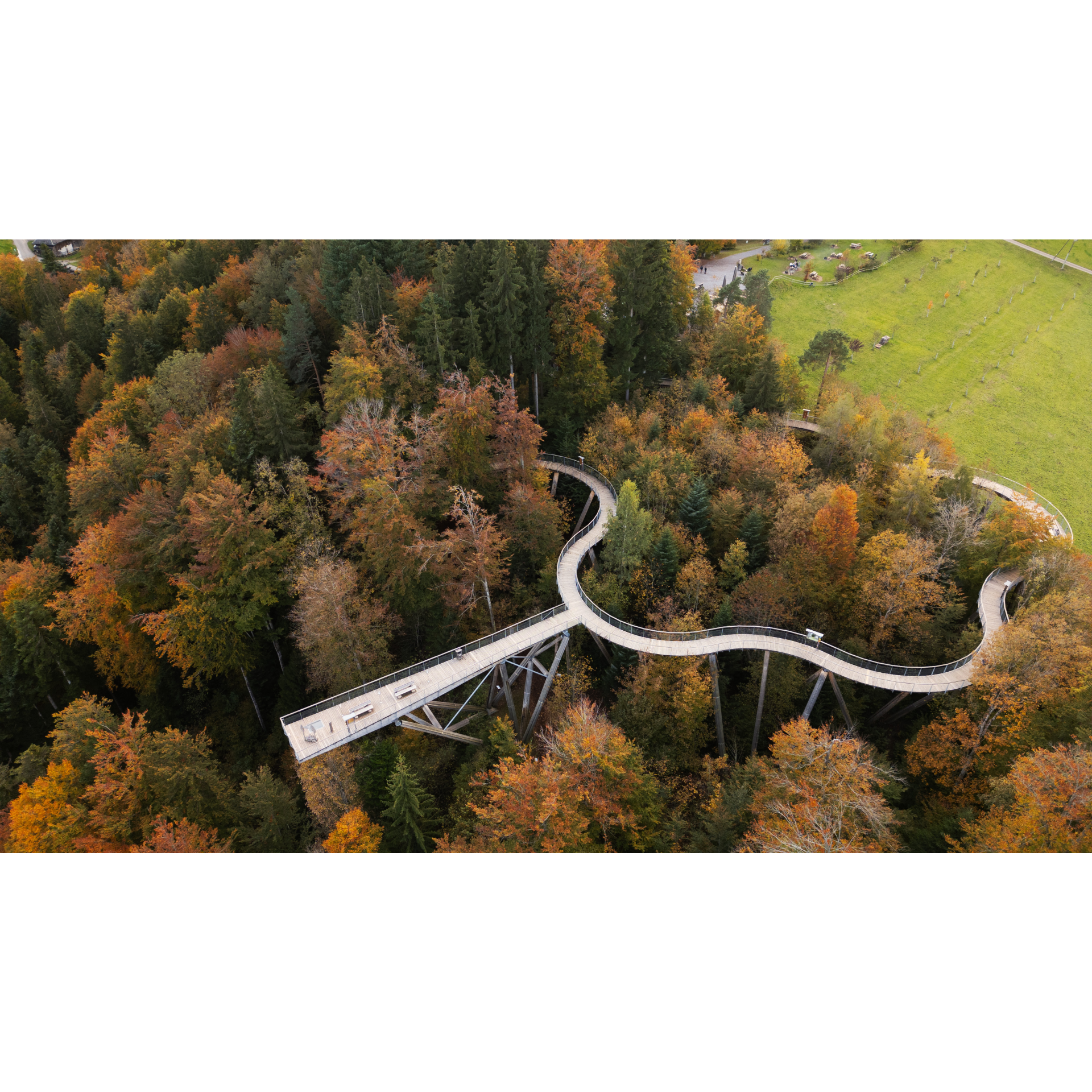Baumwipfelpfad Neckertal Bon d'achat de 50,00 CHF