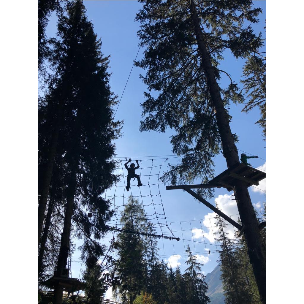 seilparks.ch Bon d'achat parcs aventure CHF 50.-