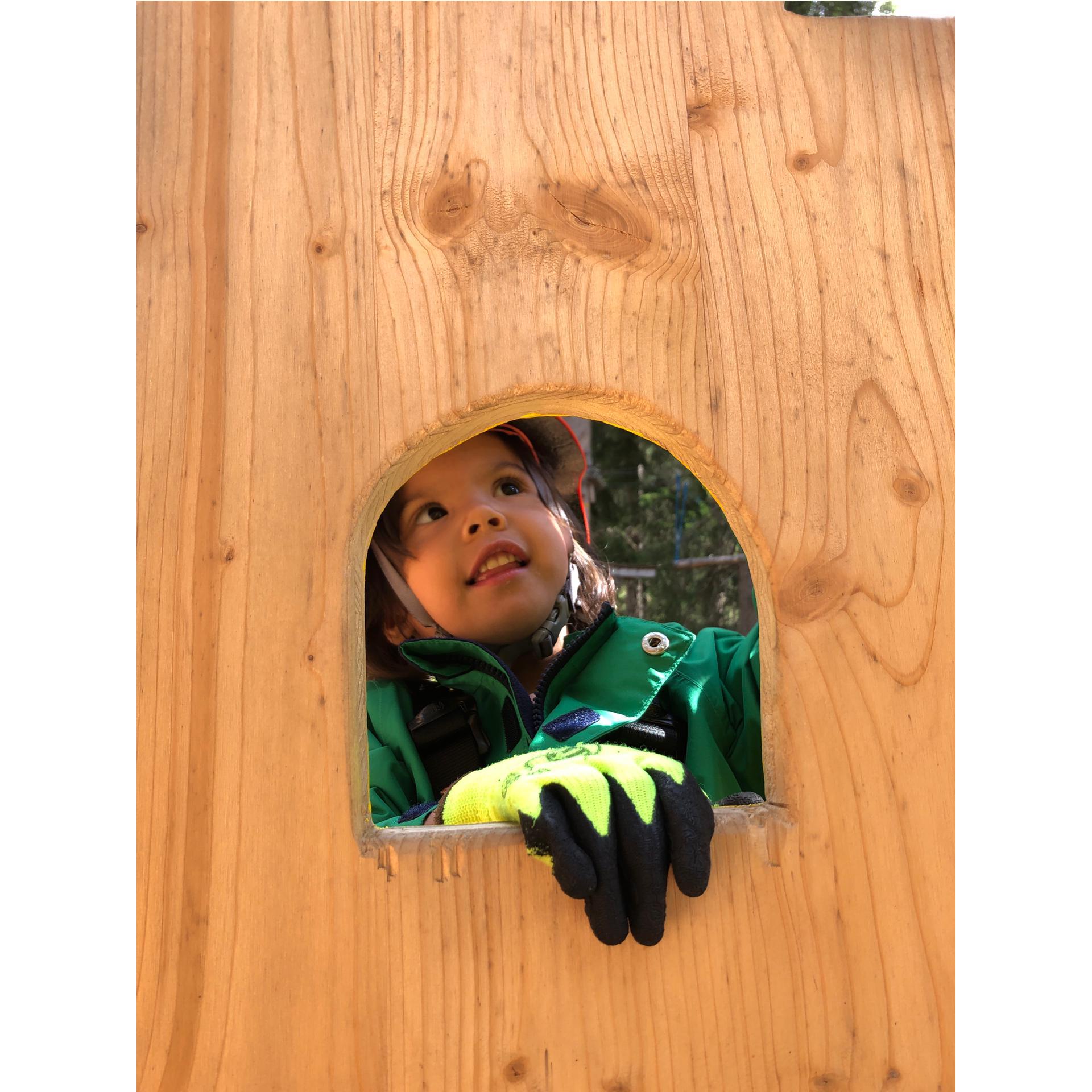 seilparks.ch Bon d'achat parcs aventure CHF 50.-