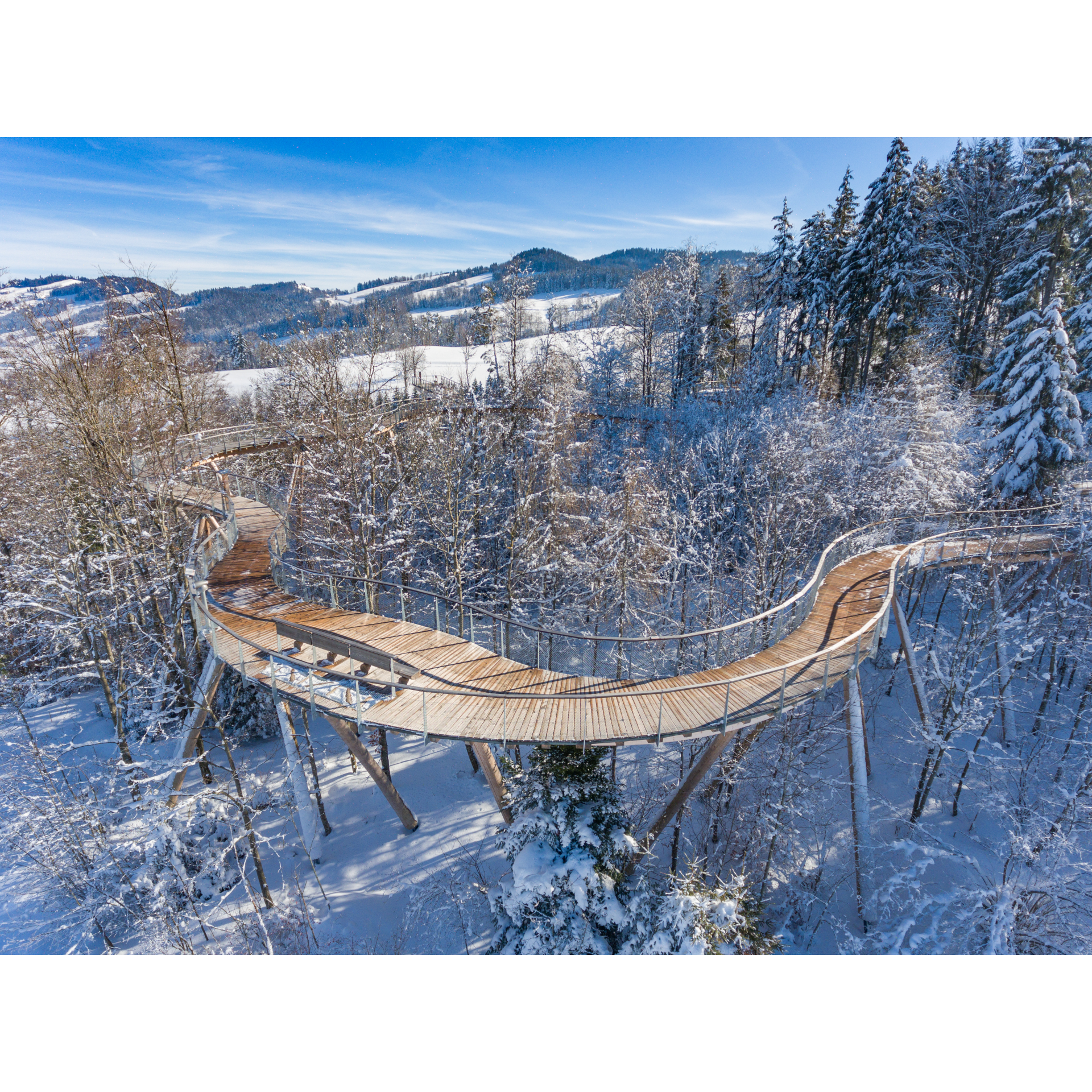 Baumwipfelpfad Neckertal Bon d'achat de 50,00 CHF