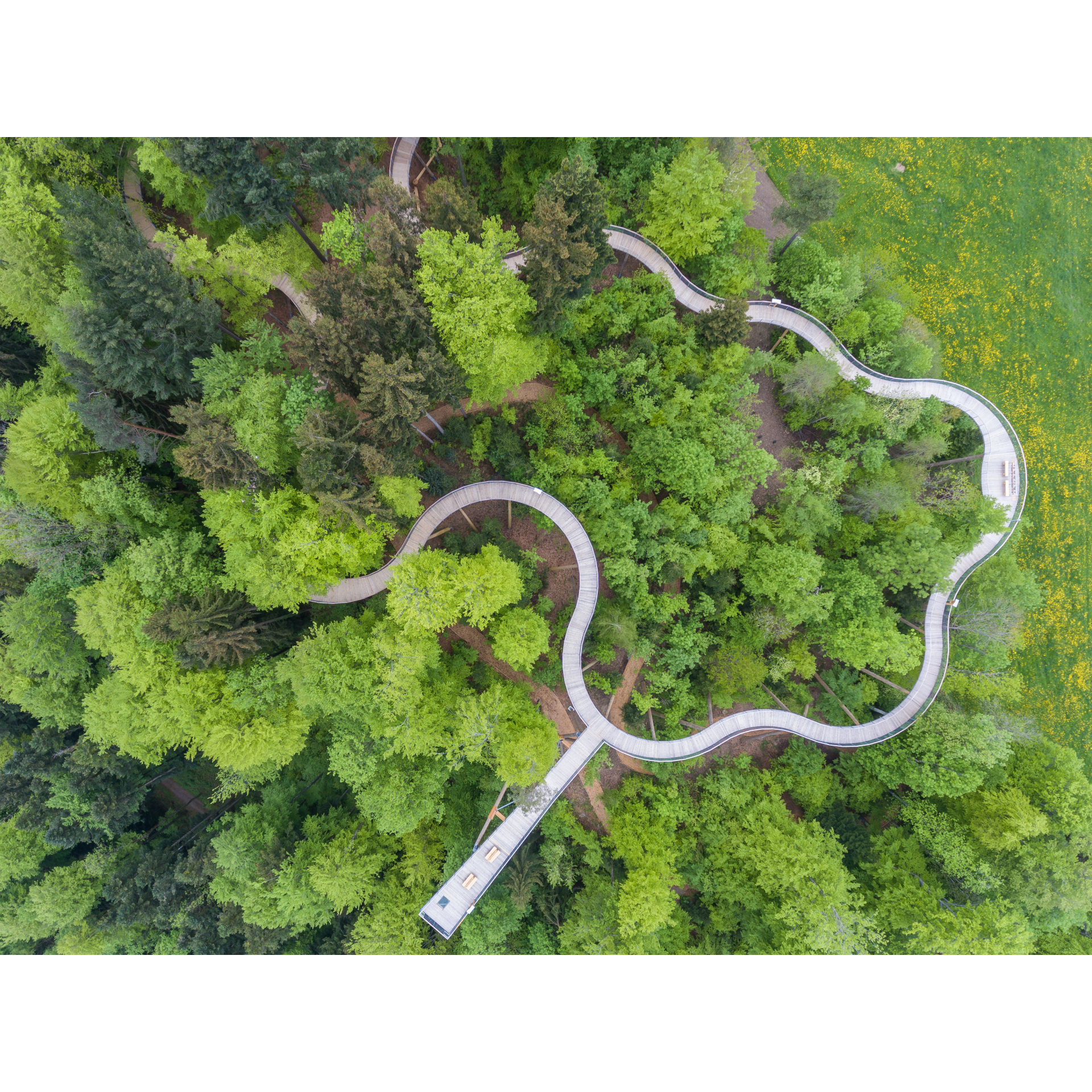 Baumwipfelpfad Neckertal Bon d'achat de 50,00 CHF